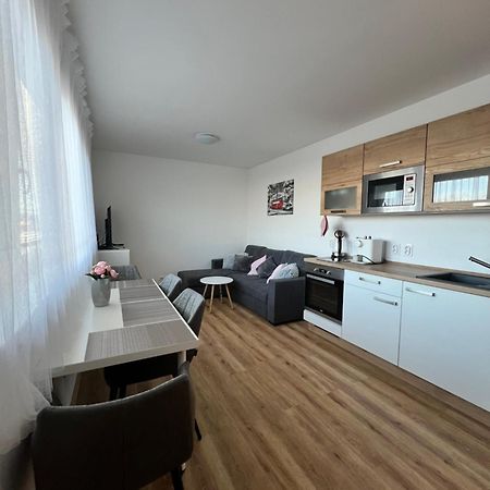 Apartman Roda2 Male Lipno Černá v Pošumaví 외부 사진
